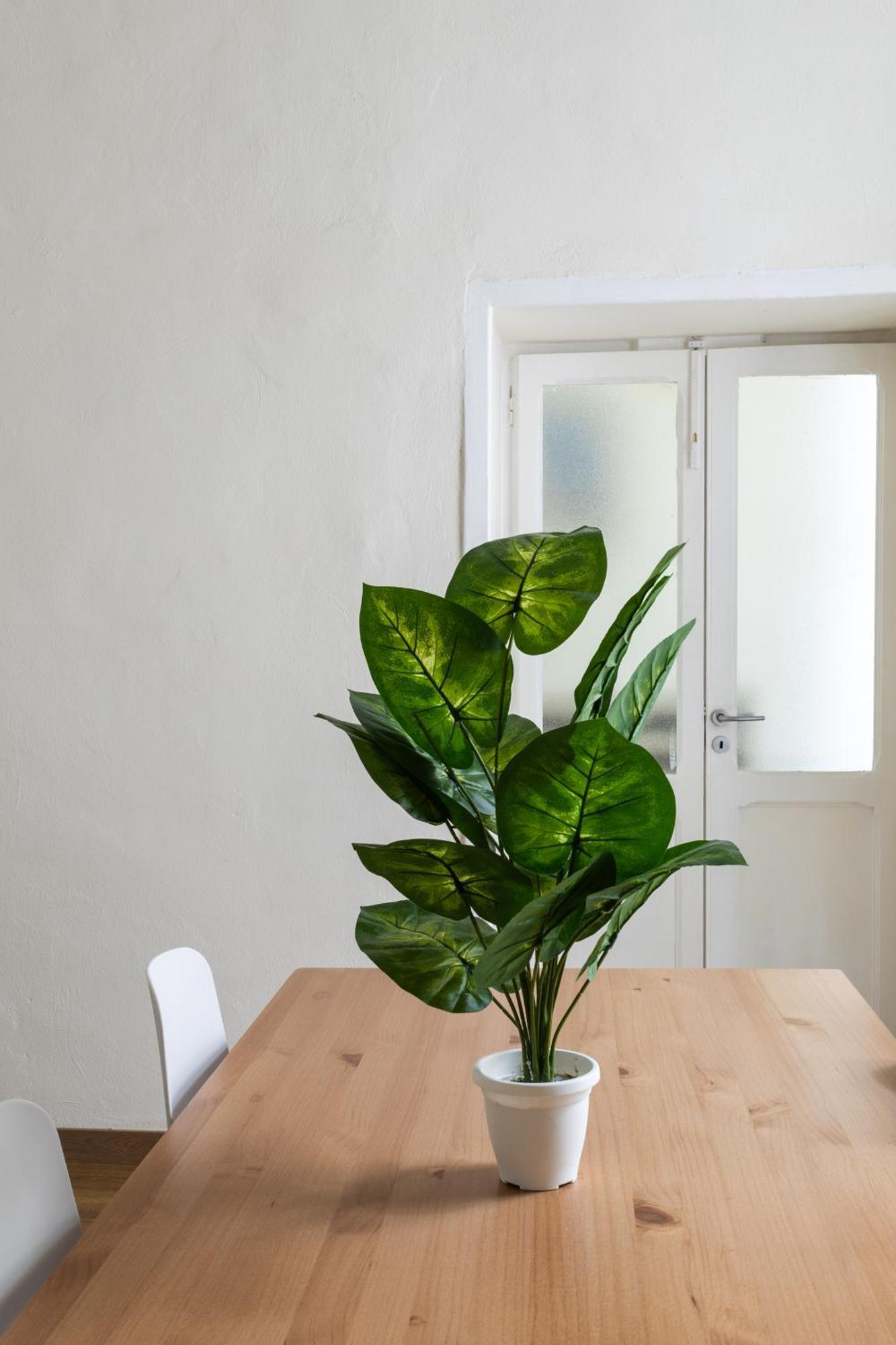 Cozy Historical Flat Napoli Apartment Exterior foto